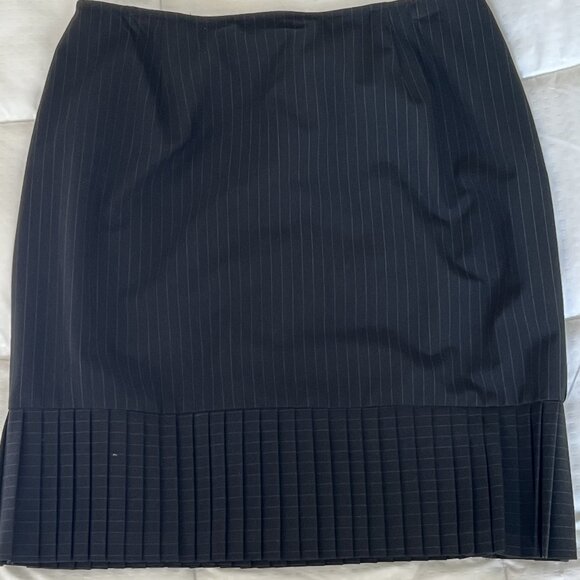Skirtology Pin Striped skirt with pleated bottom, size 14, zipper in back - Picture 1 of 1
